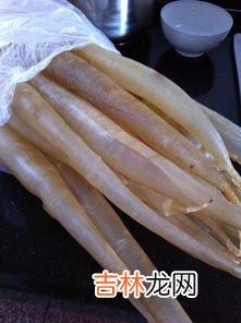 鱼肚是鱼的哪个部位,鱼肚是鱼的哪个部位?