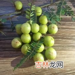 羊奶果怎么吃,羊奶果吃起来为什么一股涩味，应该怎么吃？
