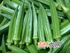 秋葵很硬还能吃吗,秋葵老了硬了怎么吃 秋葵冷藏可以放几天