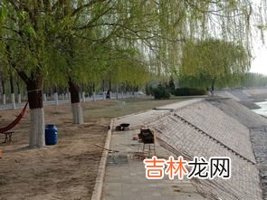 黄河所在的城市是哪个,黄河在哪个城市？