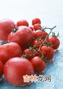 西红柿品种,番茄有几种名字？