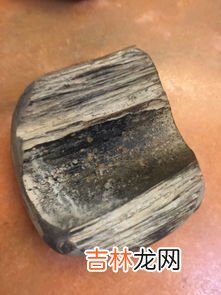 水牛角和犀牛角的区别有哪些,水牛角和犀牛角的区别
