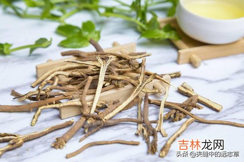 同仁堂柴胡疏肝散功效与作用,柴胡疏肝散的功效