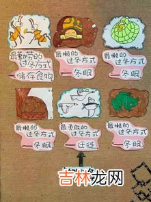 大雪节气的特点和风俗是什么,大雪节气的由来特点及风俗