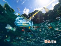 核废水对海洋生物的影响,核废水排入大海的危害