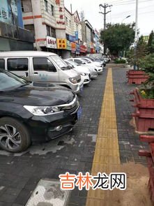 违章停车的罚款可以网上交吗,停车违章罚款网上怎么交