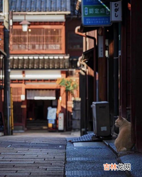 日本每年什么季节多台风,日本气温和降水的年变化特点及原因分析？