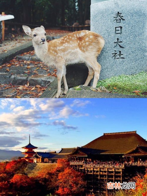 日本每年什么季节多台风,日本气温和降水的年变化特点及原因分析？