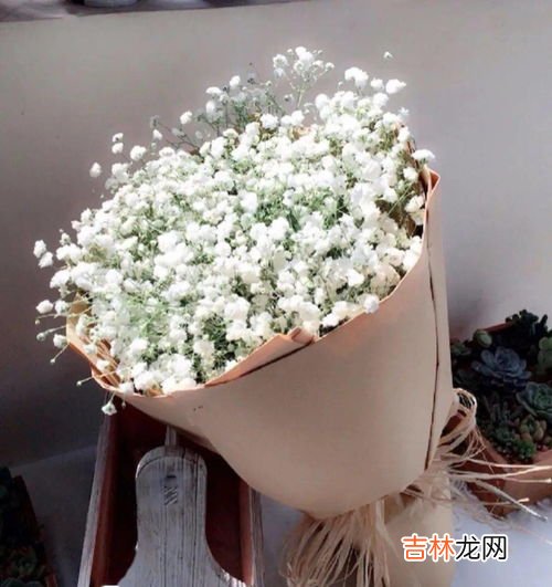 满天星的花语是什么,满天星花语是什么?