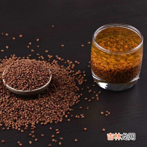 大麦茶和苦荞茶的区别,苦荞茶和大麦茶的区别