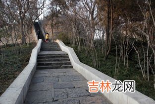 郑州紫荆山属于哪个区,郑州紫荆山路属于哪个区