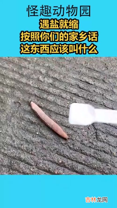 化雪的盐叫什么,为什么要撒盐化雪？