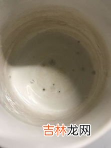 杯子发霉了还能用吗,水杯发霉了洗过还能用吗