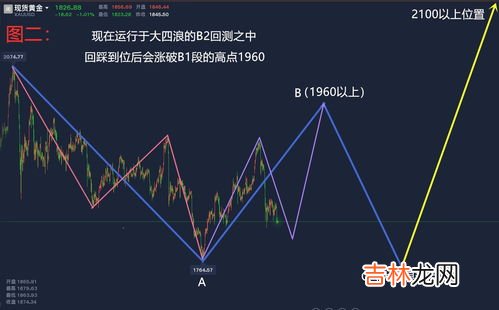 td版指的是什么意思,红米手机TD版什么意思