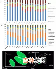 甲烷的用途有哪些,甲烷是什么有什么作用