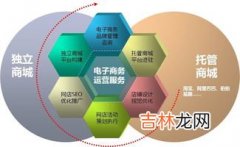 电子商务不能完全取代传统商务对不对,电子商务能够取代传统商务吗？谈谈你的看法