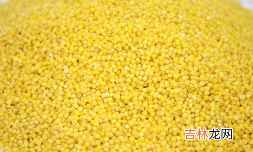 糯小米和黄小米的区别,小米粥营养丰富,怎么鉴别黄小米和糯小米?