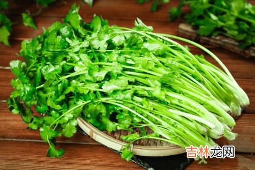 香菜冬天怎样保存不黄不烂,香菜冬天怎么放不会烂