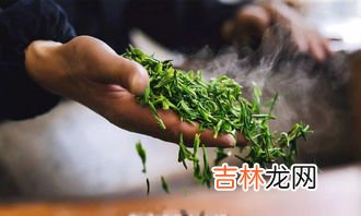 龙须茶是啥茶,龙须茶是什么茶呀？