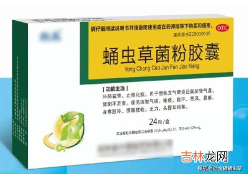 蛹虫草子实体胶囊是中药吗,蛹虫草子实体的概述