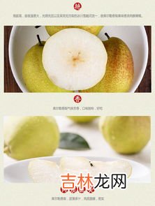一级香梨和二级香梨区别有哪些,香梨与雪梨有何区别？？