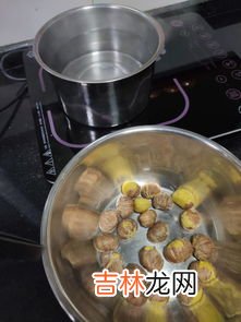 肉炖板栗窍门,板栗炖肉的做法大全