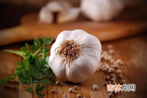 大蒜精多久起效,大蒜和精子有没有影响?