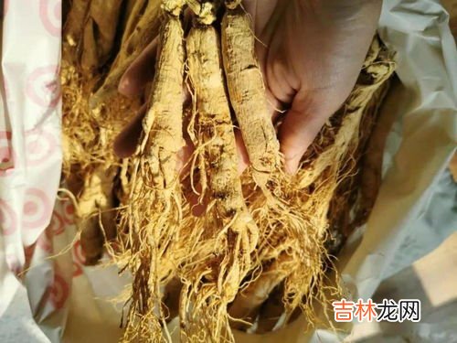 巴戟天的食用方法,巴戟天怎么吃