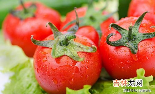 怎样挑选西红柿,如何挑新鲜的西红柿怎么挑新鲜的西红柿