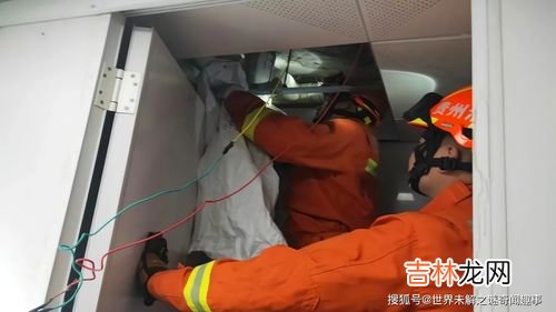 马桶出现蛇通常是几楼到几楼,马桶出现蛇通常是几楼到几楼