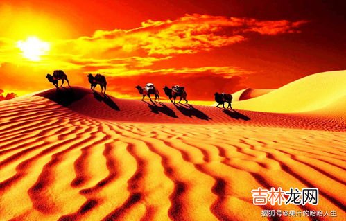 丝绸之路的作用是什么,简单介绍丝绸之路的重要作用