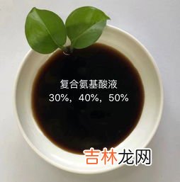 复合氨基酸的作用,复合氨基酸的作用