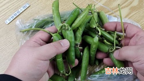 豌豆要焯水吗,炒豌豆要不要焯水？