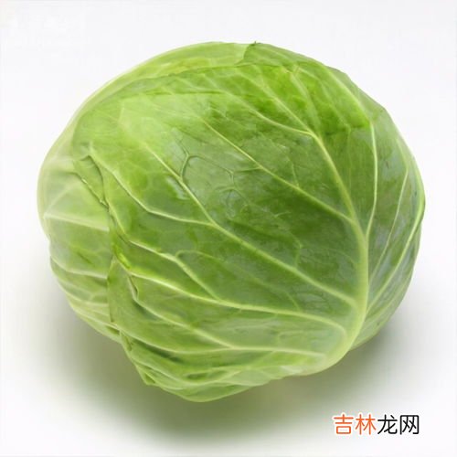 大头菜就是包菜吗,包菜和大头菜和卷心菜是一种东西吗？怎么区分?