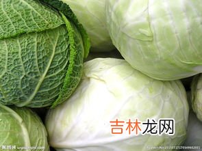 大头菜就是包菜吗,包菜和大头菜和卷心菜是一种东西吗？怎么区分?