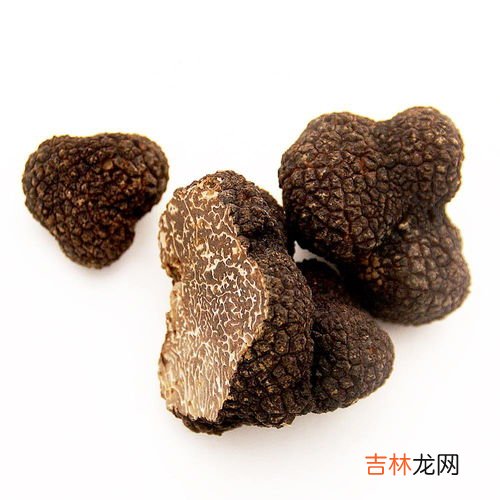 恰玛古什么人不能吃,马尾藻坐月子可以吃吗