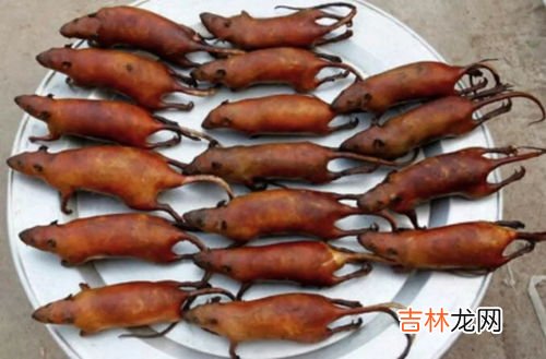 恰玛古什么人不能吃,马尾藻坐月子可以吃吗