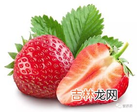 空腹可以吃草莓吗,能空腹吃草莓吗