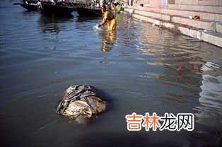 印度恒河水是流向哪里,恒河的流向是什么？