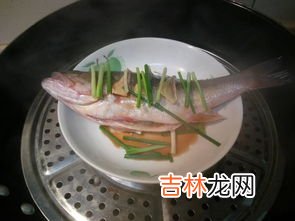 海鲈鱼是一种淡水鱼还是海水鱼,鲈鱼是淡水鱼还是海鱼?
