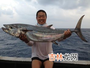 海鲈鱼是一种淡水鱼还是海水鱼,鲈鱼是淡水鱼还是海鱼?