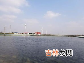 阳澄湖在哪里哪个省的,阳澄湖在哪里哪个省的