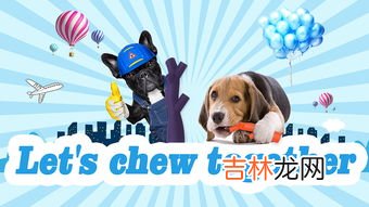 国外宠物玩具品牌排行榜,美国除了petsmart 还有哪些宠物用品零售商