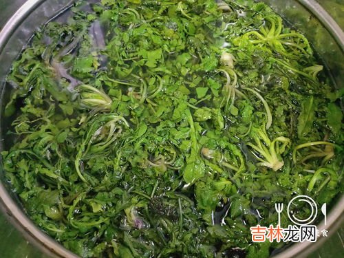 荠菜根煮水喝的好处,荠菜：蔬菜中的“甘草”，有12种功效