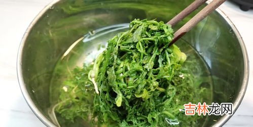 荠菜根煮水喝的好处,荠菜：蔬菜中的“甘草”，有12种功效