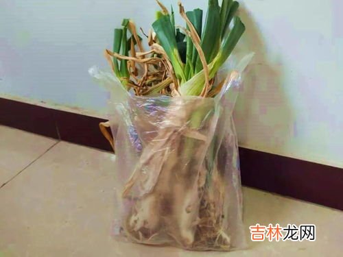 蚕卵怎么保存到明年,蚕子怎样保存