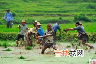 农耕习俗,冬至农耕活动？