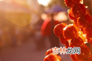 插冰糖葫芦的稻草靶子叫什么,用来插冰糖葫芦的棒子叫什么名字