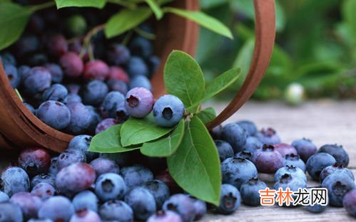gnc蓝莓副作用,蓝莓胶囊的功效和副作用