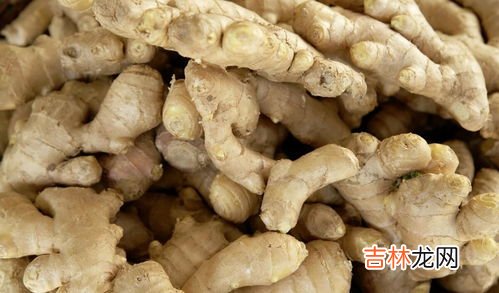 姜汁可以保存多久不变质,生姜汁能保存多久